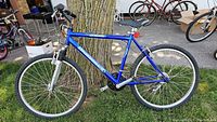 Full side view of the blue Diamondback Outlook men's mountain bike leaning against a tree outdoors on grass.