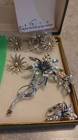 Top view of vintage jewellery lot including five brooches and one pair of clip-on earrings displayed in a box.