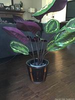 Artificial plant with broad green and purple leaves, placed on the floor in a living room setting. The plant is in a dark bamboo-style pot and the leaves have distinctive light green variegation and purple undersides.