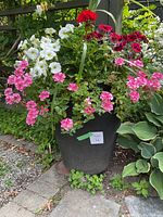 Full view of tall black textured planter with colorful flowers (red, white, pink) arranged on top.