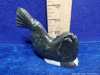 Front view showing the face, detailed flipper, and polished stone surface with ruler for scale.