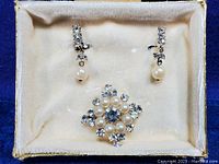 Full view of the set inside the box including brooch and two clip earrings showing overall condition and presentation.