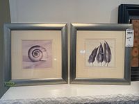 Pair of framed prints depicting a sea shell and leaves in silver frames with white mats, both measuring 14.5 x 14.5 inches.