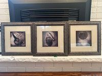 Set of three framed shell prints displayed side by side on a mantle