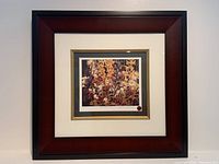 Framed view of Tom Thomson limited edition print 'Wildflowers' showing size and frame style for sale