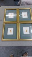Overview photo showing all four framed pressed flower artworks with gold frames and green mats.