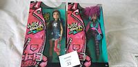 Photo showing both Wild Heart Crew dolls in original packaging; branding and artwork are visible.