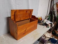Open chest view showing interior storage compartment and hinged lid mechanism.
