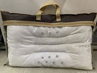 Veji Herbal Magnetic Therapy pillow in clear zippered storage bag showing front side of pillow with embedded massage points and handles on bag