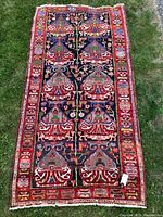 Full view of Bakhtiar carpet laid on grass showing entire pattern and borders.