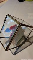 Beveled glass box with brass edging and hinged opening showing dried roses inside