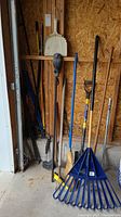 Photo showing various outdoor gardening tools standing against a wooden wall including rakes, broom, shovels, and hoe.