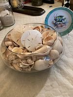 Glass bowl filled with assorted seashells including multiple sand dollars; next to a decorative plate with Bahamas fish motif.