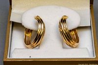 Front view of both 10K gold hoop earrings displayed in box on white cushion, showing ridged polished gold surface and lever backs.