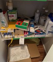 Photo showing a shelf holding various personal care and household items including shampoo, Olay lotion, Polident denture tablets, toothbrush packs, Softsoap body wash, and plastic bags on the floor.