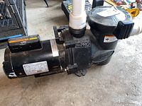 Overall side view of the Jandy FloPro pool pump including motor and PVC pipe connection.