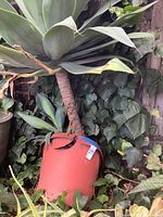 Artificial palm plant in tall orange plastic pot with damaged rim, surrounded by green ivy in background.