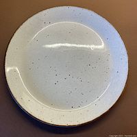 Top view of a single cream background dinner plate with random cinnamon speckles and cinnamon rim.