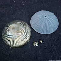 Two ceiling light fixtures placed on asphalt. One is a ribbed clear glass dome light cover and the other is a frosted white glass globe with ridged pattern. Metal mounting parts included.
