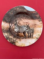 Porcelain plate with detailed zebras (mother and baby) illustration in a natural outdoor setting with earthy tones, shown against a red background.
