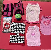 Photo showing all dog clothing items, harnesses, toy ball, and new red leash in packaging