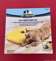 Photo of the Tail Waggers Cat & Mouse Chase Toy box showing the motorized wand and speed control with cat interaction.