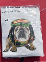 Photo of the packaging showing a bulldog wearing the Rasta Dog costume including the body and headpiece with faux dreadlocks, highlighting the costume design and size Large.