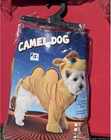 Packaged camel dog pet costume for medium-sized dogs on hanger with label showing camel design and size medium.