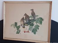 Framed print showing three cedar waxwing birds on a branch with leaves and berries, signed by Roger Tory Peterson.