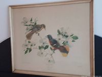Framed print showing two Baltimore Oriole birds on dogwood branches with white flowers