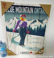 Front view of the retro ski canvas wall art showing the skier, mountains, and text. Includes water bottle for size reference.