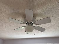 Photo showing larger ceiling fan with six white blades and central frosted glass dome light, mounted on ceiling.