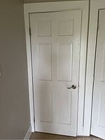 Full view of the white interior door closed with metal lever handle on the right side.