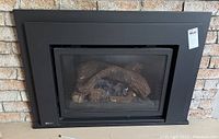 Front view photo showing black Regency metal gas fireplace insert with ceramic logs inside, glass front, black mesh screen and black metal frame.