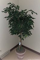 Full view of faux ficus tree showing overall height and fullness of leaves, positioned against a white wall with brown base molding.