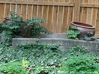 Two large terracotta urns outdoors on concrete blocks surrounded by greenery.