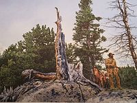 Full view of the print showing the man with a rifle, two horses, a rocky natural landscape, and detailed trees including a large stump.