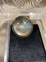 Close-up of the circular antique brooch inside a plastic display box, showing detailed hand painted scenic landscape under magnifying glass in gold-tone frame.