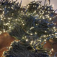 Close-up photo of tangled green-wire LED string lights showing many small clear LEDs illuminated.