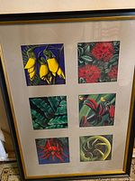 Full view of the framed six-panel print showing all six botanical illustrations arranged in two columns and three rows with beige matte border and black and gold frame.