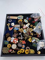 Overview of all vintage pins in black tray showing various designs including ITC, tourist and emblem pins