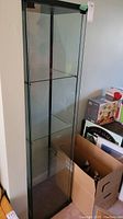 Front view of tall glass display cabinet with three shelves and glass door closed.