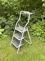 Full view of foldable painter's ladder standing on grass with three steps and top platform visible