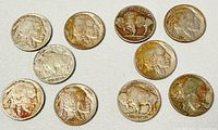 Ten US Buffalo nickels showing obverse and reverse details, laid out on white textured background.