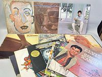 Photo showing a variety of vinyl records from artists including Elvis Presley, Rod Stewart, Bee Gees, and Beatles arranged on a surface, revealing album cover art and titles.
