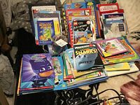 Photo showing a large collection of assorted children's books laid out on a blanket. Books include educational, story, joke, themed character books like PJ Masks, sharks, Lego City, and Christmas themed books.