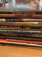 Stack of children's books showing spine titles including 'Moishe's Miracle', 'Cowboy Camp', 'The Wolves in the Walls', 'Walter the Farting Dog', 'The Night I Followed the Dog', 'Saturn of the Shape', 'Amazing Animals of the Sea', 'Zathura', and others.