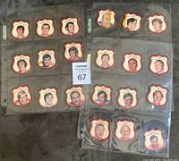 Two plastic sheets holding 21 hockey crest insert cards from 1972-73 O-Pee-Chee set laid flat showing full cards with edges and punched holes.