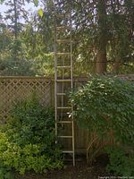 Full view of the ladder fully extended, positioned upright against a wooden fence with greenery around.