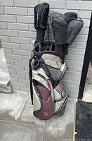 Front-side angle of Nancy Lopez golf club set with head covers and golf bag.
